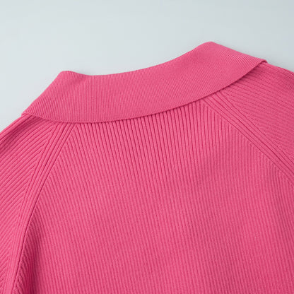 Cross-Border European and American Style2025Autumn and Winter New Trend Versatile Simple Casual Polo Turn-Down Collar Pullover Knitted Sweater